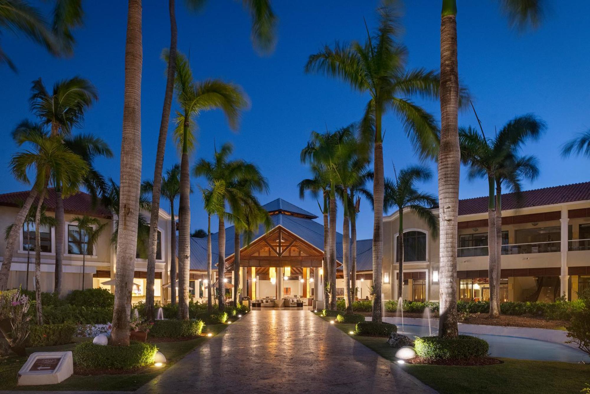 Jewel Palm